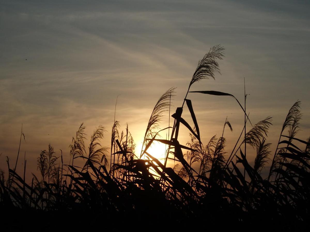 Krakowskie Mazury Gradzkie  Dış mekan fotoğraf