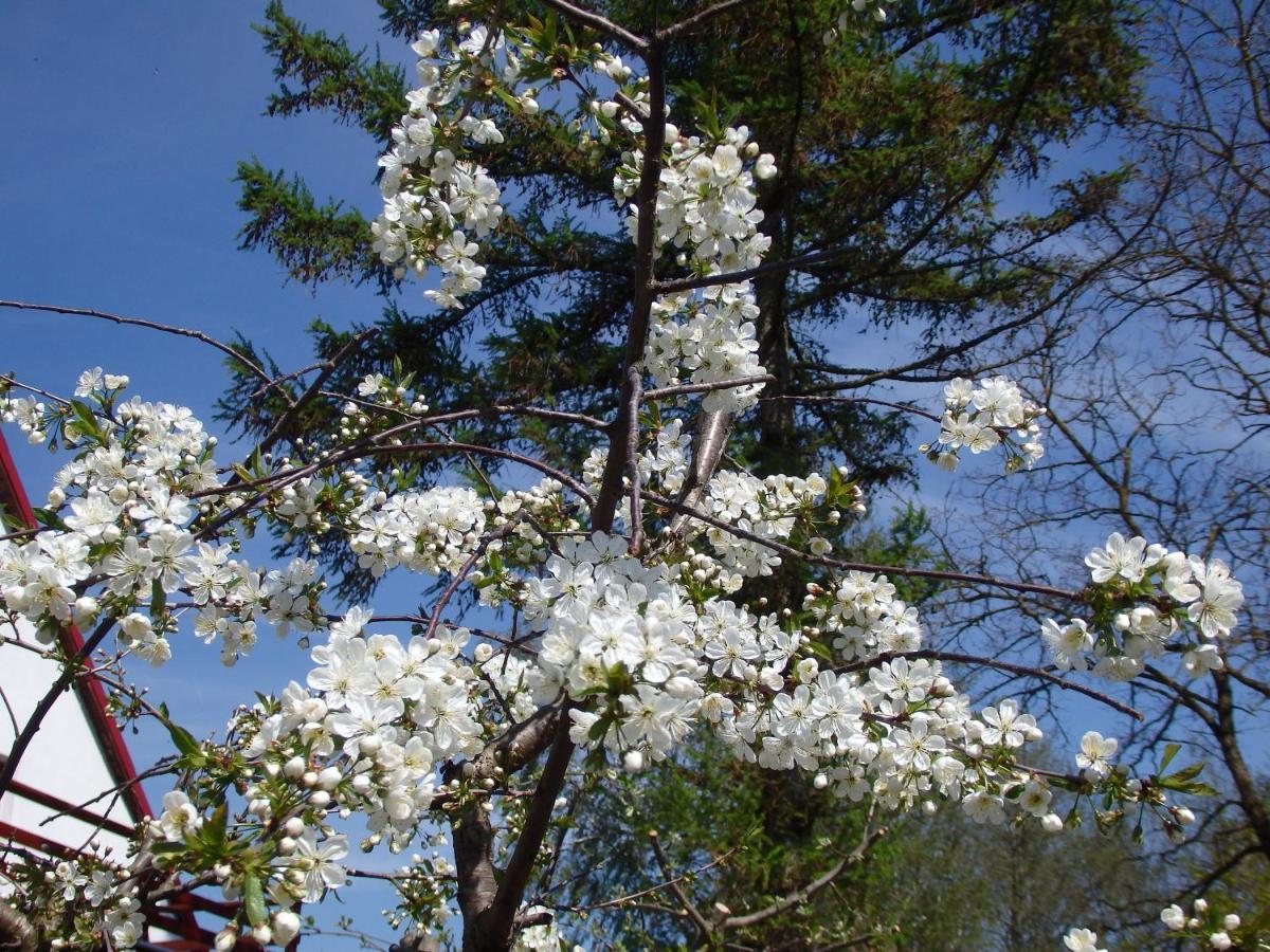 Krakowskie Mazury Gradzkie  Dış mekan fotoğraf