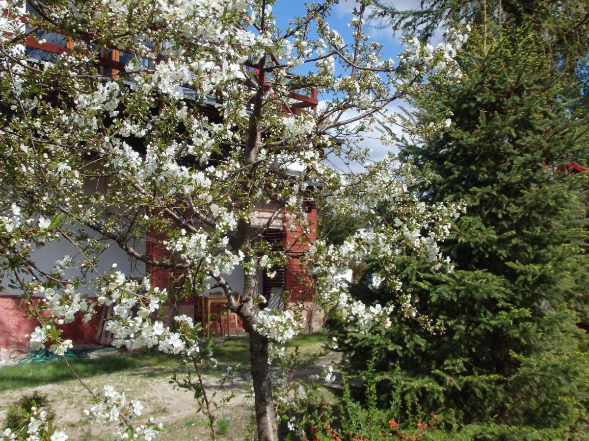 Krakowskie Mazury Gradzkie  Dış mekan fotoğraf